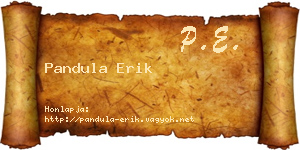 Pandula Erik névjegykártya